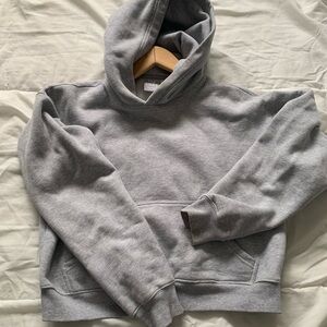 Aritzia tna boyfriend hoodie